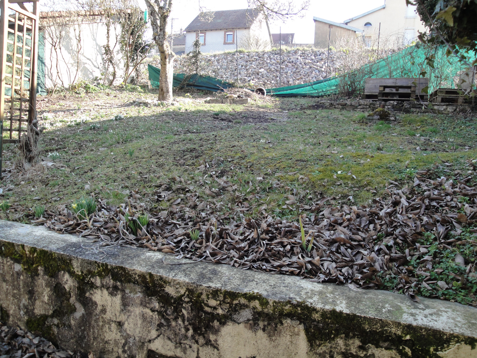 Image_, Immeuble, Beaucourt, ref :06/22